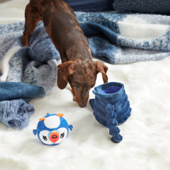 Puffer Puffin Plush Multi-Part + Enrichment Dog Toy