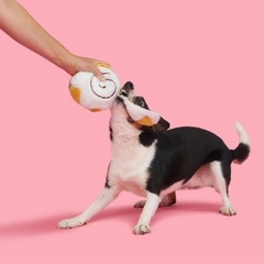 Cinnamon Growl Plush Enrichment Dog Toy