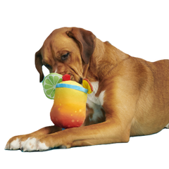 Mai Tail Plush Tug Dog Toy