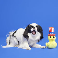 Uncle Duck Plush Tug Dog Toy