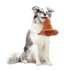 The Sorting Hat™