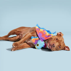 Beta Boop Plush Tug Dog Toy