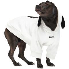 Snoopy Dog Hoodie