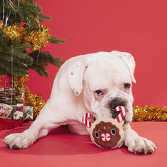 Gnasher The Puppermint Reindeer Durable Super Chewer 2-in-1 Rip and Reveal Dog Toy