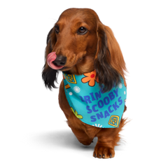 Scooby-Doo™ Bundle Plush Extra-Large Dog Toy