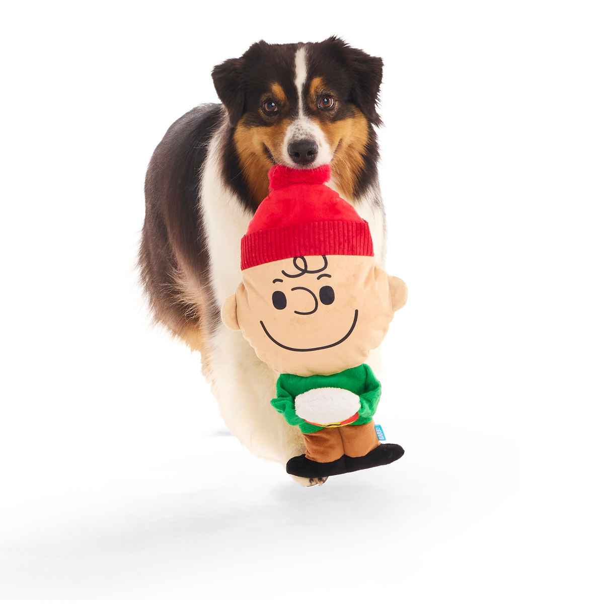 Hot Chocolate Charlie Brown Plush Extra-Large Dog Toy