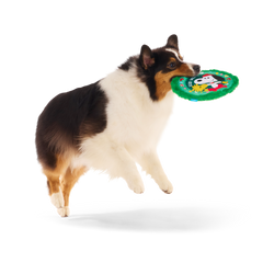 Disc The Halls Plush Fetch Dog Toy