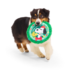 Disc The Halls Plush Fetch Dog Toy