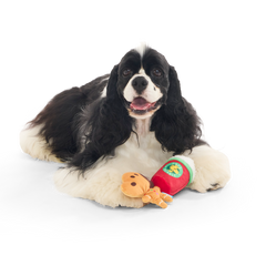 Gingersnoop Latte Multi Part Plush Dog Toy