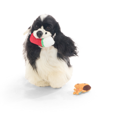Gingersnoop Latte Multi Part Plush Dog Toy