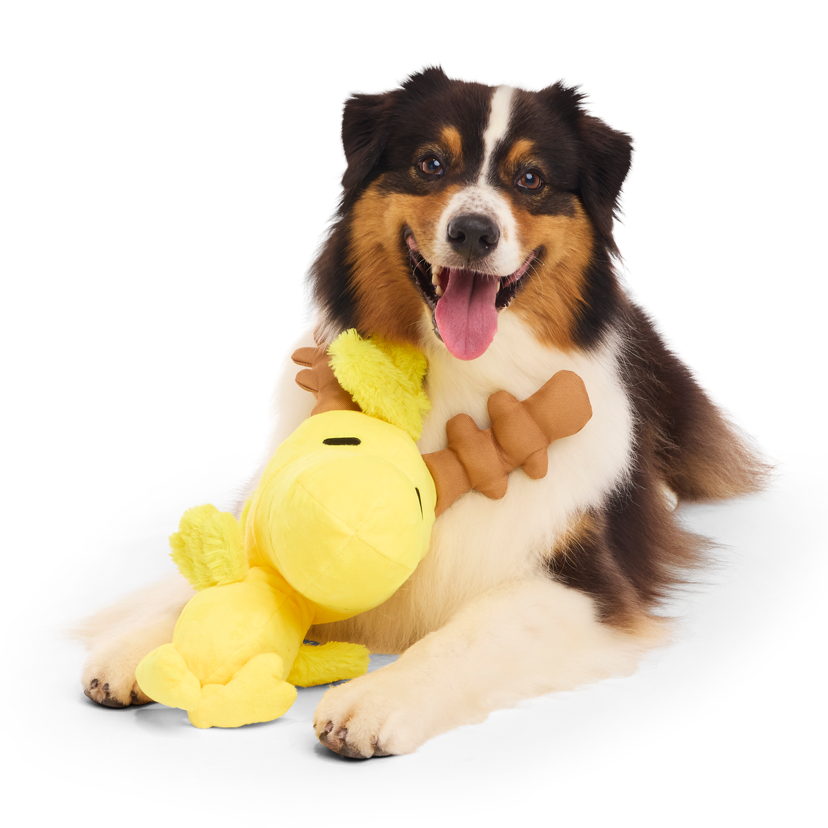 Reinbird Plush Extra-Large Dog Toy