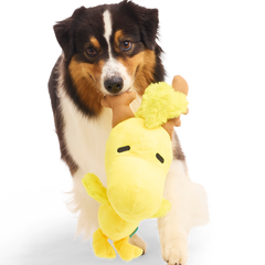 Reinbird Plush Extra-Large Dog Toy