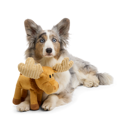 Melvin The Moose Plush Tug Dog Toy