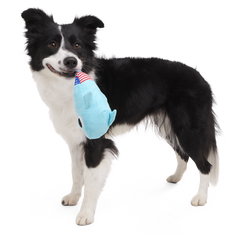 Fourth Of Jawly Jake Plush Tug Dog Toy