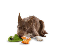 Mchanga & Mwanga Meerkat Plush Enrichment + Multi-Part Dog Toy