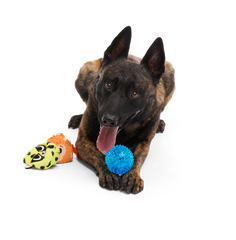 Duma Njaa Plush 2-In-1 Rip And Reveal + Fetch + Multi-Part Dog Toy