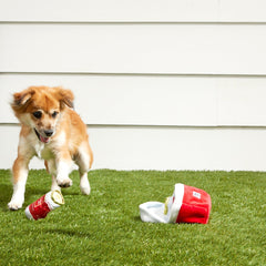 Bite Lite Beer Cooler Plush Multi-Part + Enrichment Dog Toy