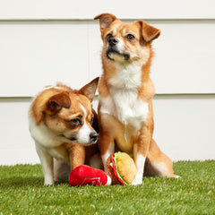 Cookout Burger and Ketchup Plush Multi-Part Dog Toy