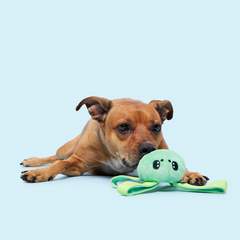 Galactopus Durable Super Chewer 2-In-1 Rip And Reveal + Tug Dog Toy