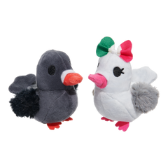 Coo Amore