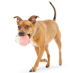 Tipsy Rose Super Chewer Durable Enrichment Dog Toy