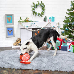 Wham Bam Ham Plush Tug Dog Toy