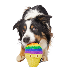 Rainbow-wow Sherbert Super Chewer Durable 2-in-1 Dog Toy