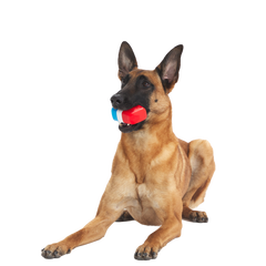 Red White + Chew Pupsicle Super Chewer Durable Gnaw Dog Toy