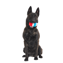 Red White + Chew Pupsicle Super Chewer Durable Gnaw Dog Toy