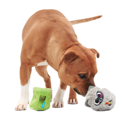 Rickie Racoon the Trash Tycoon Plush Enrichment + Multi-Part Dog Toy