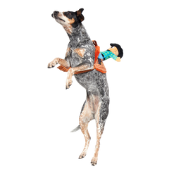 Rodeo Ralph Plush Wearable Tug Dog Toy