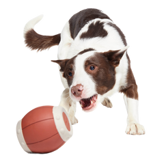 Roll Over A Barrel Super Chewer Durable Enrichment Dog Toy
