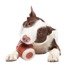 Roll Over A Barrel Super Chewer Durable Enrichment Dog Toy