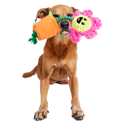 Rose the Daisy Plush Tug Dog Toy