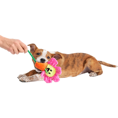 Rose the Daisy Plush Tug Dog Toy