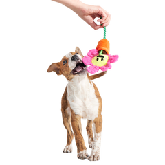 Rose the Daisy Plush Tug Dog Toy