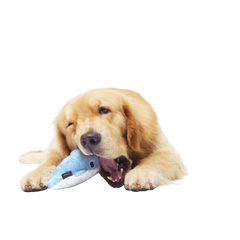 Gnaw Whal Durable Super Chewer 2-in-1 Rip and Reveal Dog Toy