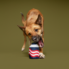 Nedry's Scheme Revealed Durable Super Chewer 2-in-1 Rip and Reveal Dog Toy