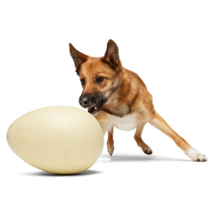 Dinosaur Egg