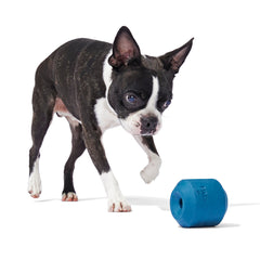 Tank Toy Super Chewer Durable Enrichment Dog Toy