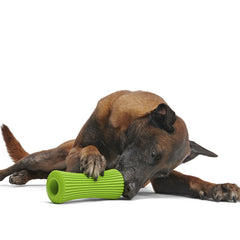 Celery Super Chewer Durable Fetch + Enrichment Dog Toy