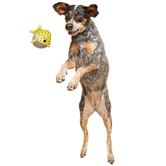 Blowfetch Super Chewer Durable 2-in-1 Fetch Dog Toy
