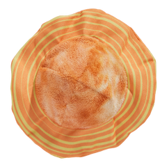 Flings Around Saturn