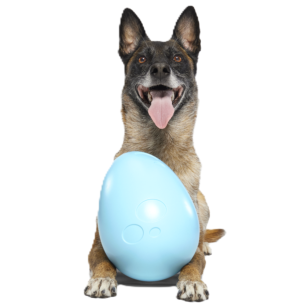 Eggstra Large Easter Egg Durable Super Chewer Fetch + Extra-Large Dog Toy