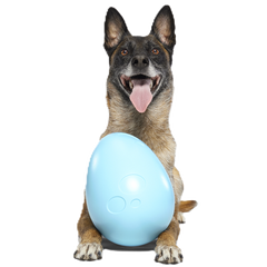 Eggstra Large Easter Egg Durable Super Chewer Fetch + Extra-Large Dog Toy