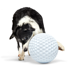 Big Swing Golf Ball Super Chewer Durable Extra-Large Fetch Dog Toy