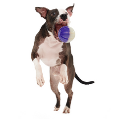 Nepzoom Durable Super Chewer Fetch Dog Toy
