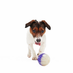 Nepzoom Durable Super Chewer Fetch Dog Toy