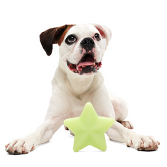 Shooting Starf Gnaw Dog Toy