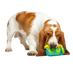 The Dogness Monster Super Chewer Durable Gnaw Dog Toy